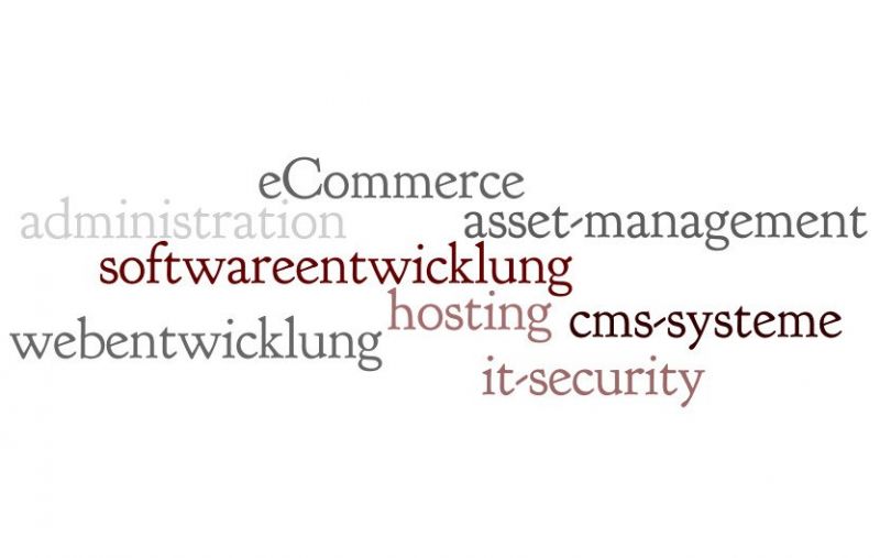 eCommerce, Webentwicklung, Softwareentwicklung, Administration, CMS-Systeme, Hosting, Asset Management, IT Security